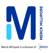 merck 101091